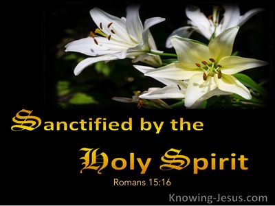 Romans 15:16 Sanctified By The Holy Spirit (yellow)